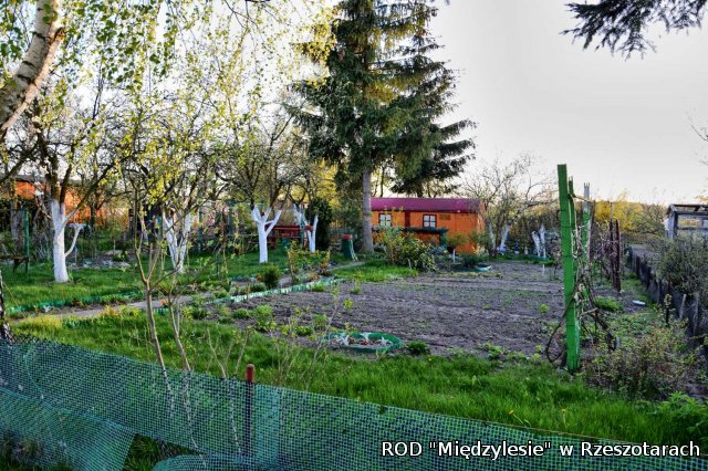 Ogródki działkowe kwiecień 2016