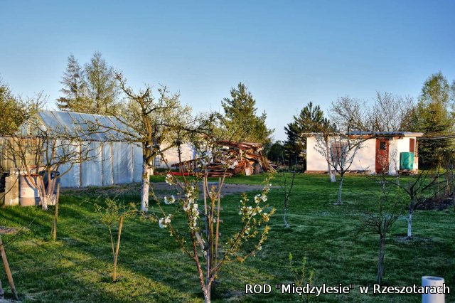 Ogródki działkowe kwiecień 2016