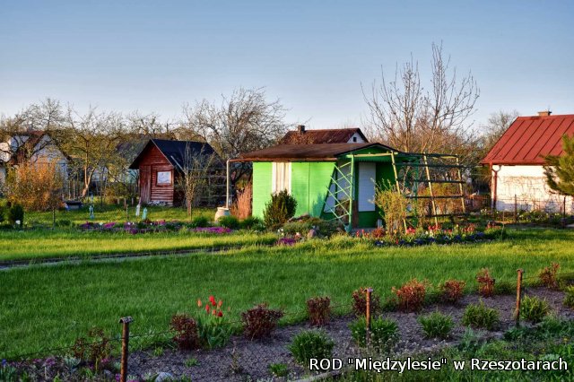 Ogródki działkowe kwiecień 2016