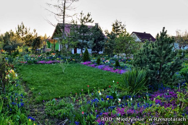 Ogródki działkowe kwiecień 2016