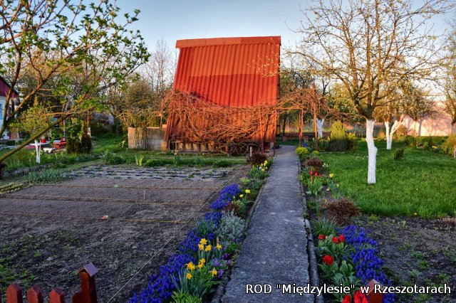 Ogródki działkowe kwiecień 2016