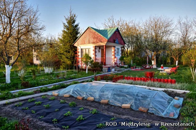 Ogródki działkowe kwiecień 2016