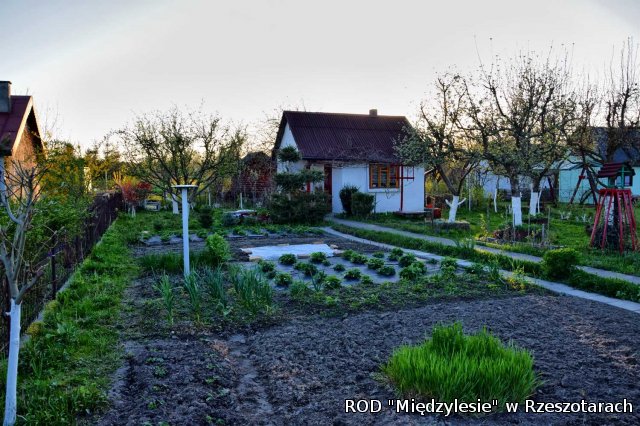 Ogródki działkowe kwiecień 2016