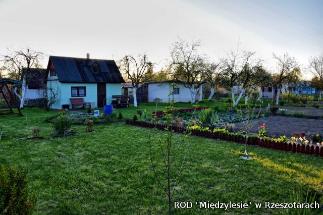Ogródki działkowe kwiecień 2016