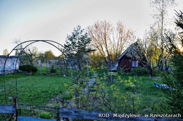 Ogródki działkowe kwiecień 2016