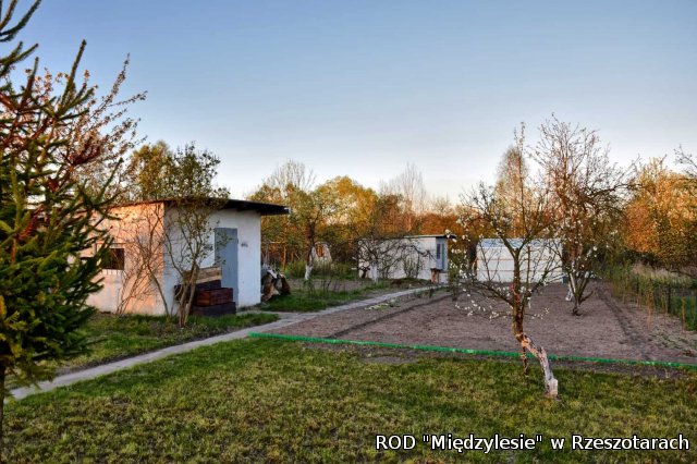 Ogródki działkowe kwiecień 2016