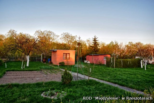 Ogródki działkowe kwiecień 2016