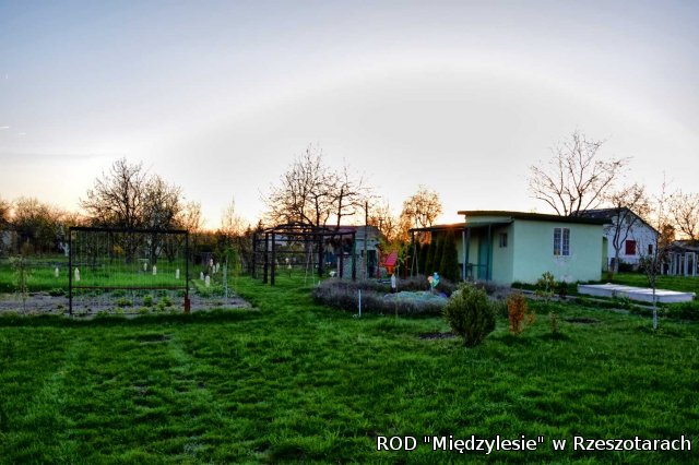 Ogródki działkowe kwiecień 2016