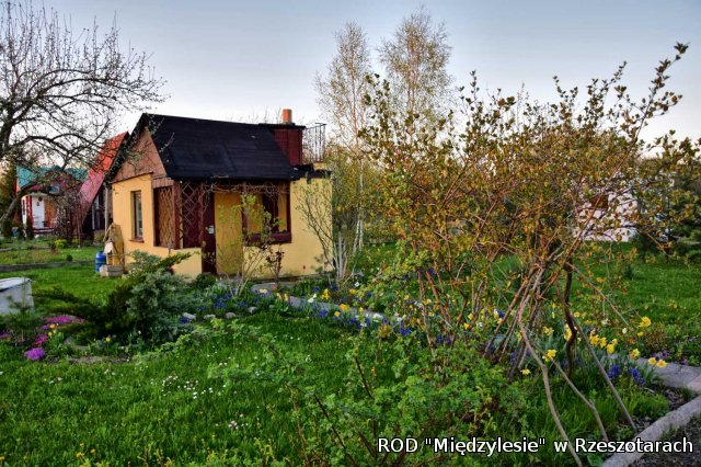 Ogródki działkowe kwiecień 2016